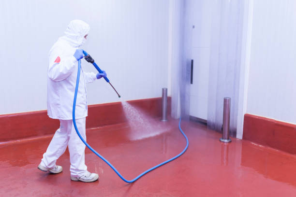 Best Roof Washing  in Royse City, TX
